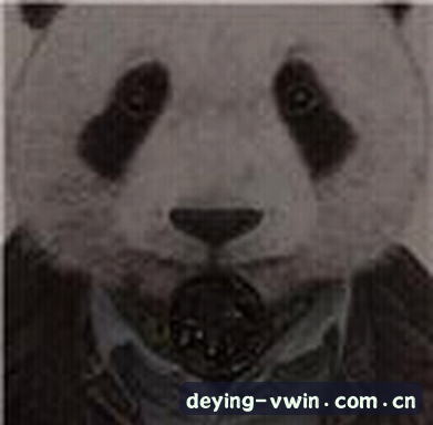 张伟